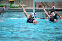 USA Water Polo: Womens Senior Nationals: Cal Golden Bears vs SoCal B