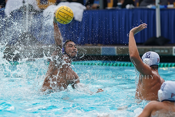 MWP:California Golden Bears vs UCSB Gauchos