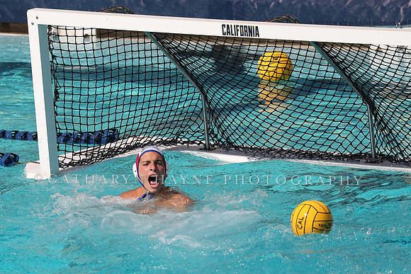 Collegiate Mens Water Polo: California Golden Bears vs UC Santa Barbara Gauchos