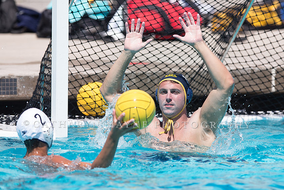 Cal Boys Water Polo Camp