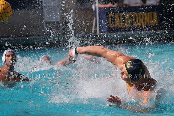 Collegiate Mens Water Polo: California Golden Bears vs UC Santa Barbara Gauchos