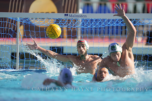 MWP: Salem University Tigers vs UCLA Bruins