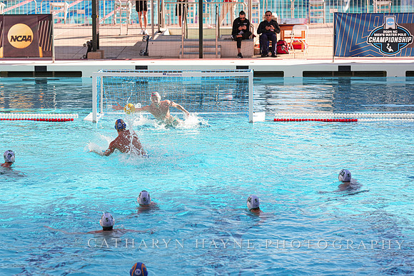 MWP: Salem University Tigers vs UCLA Bruins