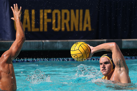 Collegiate Mens Water Polo: California Golden Bears vs UC Santa Barbara Gauchos