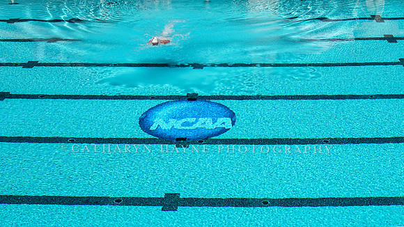 Collegiate Women's Water Polo: NCAA Championship Game: USC Trojans vs Stanford Cardinals