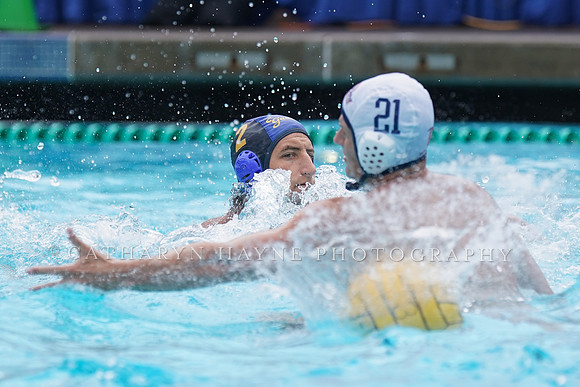 MWP:California Golden Bears vs UCSB Gauchos