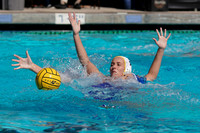 Collegiate Women's Water Polo: Barbara Kalbus Invitational: UCLA Bruins vs CSULB