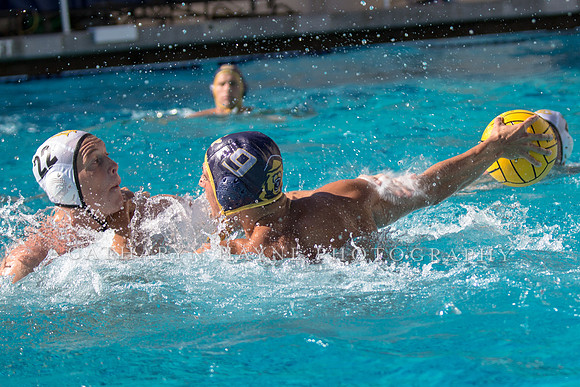 20141102CalvLBSUlr-66