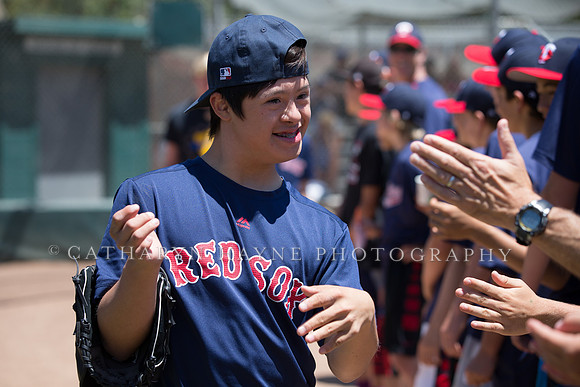 Project Awareness and Special Sports Baseball,