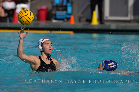 WWP: Brown University Bears vs SJSU Spartans