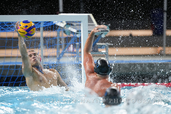 USA Water Polo National League