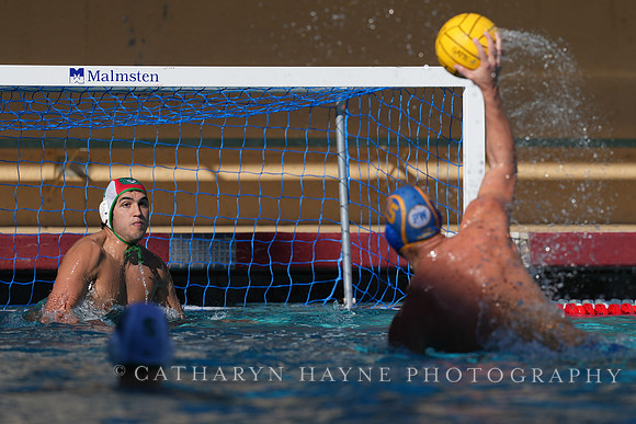 MWP: Salem University Tigers vs UCLA Bruins