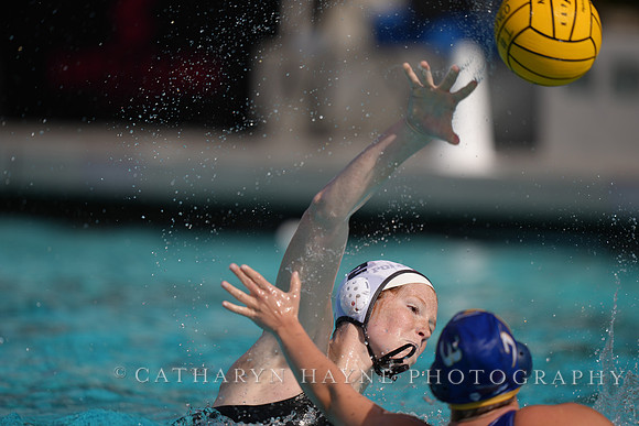 WWP: Brown University Bears vs SJSU Spartans