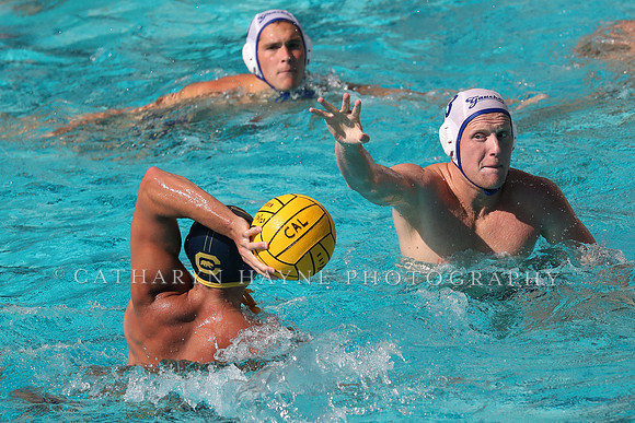 Collegiate Mens Water Polo: California Golden Bears vs UC Santa Barbara Gauchos