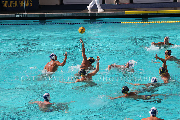 Collegiate Mens Water Polo: California Golden Bears vs UC Santa Barbara Gauchos