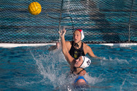 Cal vs SJSU at California Speedo Cup
