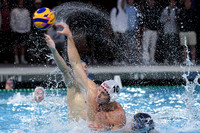 USA Water Polo National League