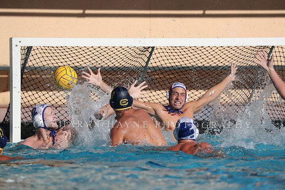 Collegiate Mens Water Polo: MPSF Invitational: California Golden Bears vs UC Santa Barbara Gauchos