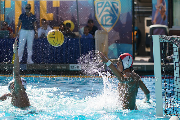 MWP:California Golden Bears vs USC Trojans