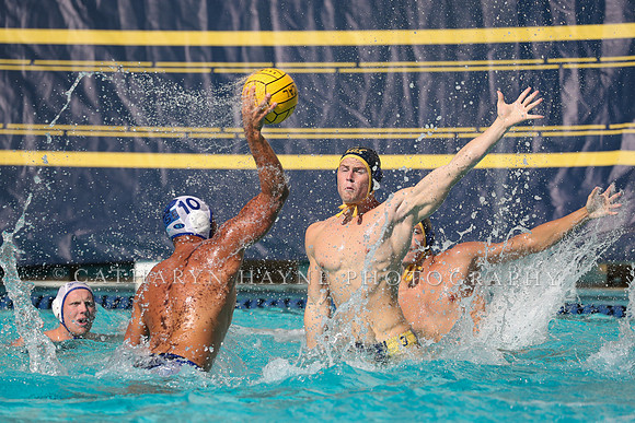 Collegiate Mens Water Polo: California Golden Bears vs UC Santa Barbara Gauchos