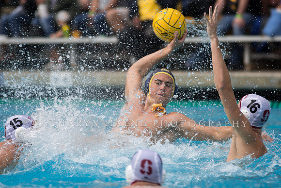Cal vs Stanford at Mountain Pacific Sports Federation 2016