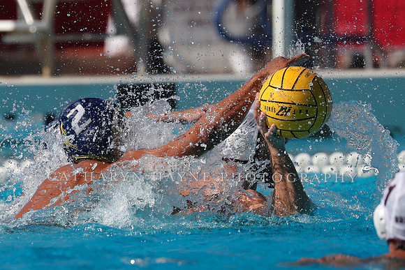 Collegiate Men's Water Polo: MPSF Invitational: UC San Diego Tritons vs Santa Clara University Broncos