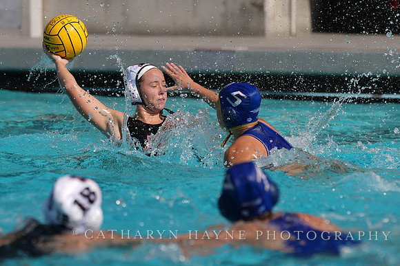 WWP: Brown University Bears vs SJSU Spartans
