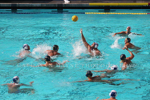 Collegiate Mens Water Polo: California Golden Bears vs UC Santa Barbara Gauchos