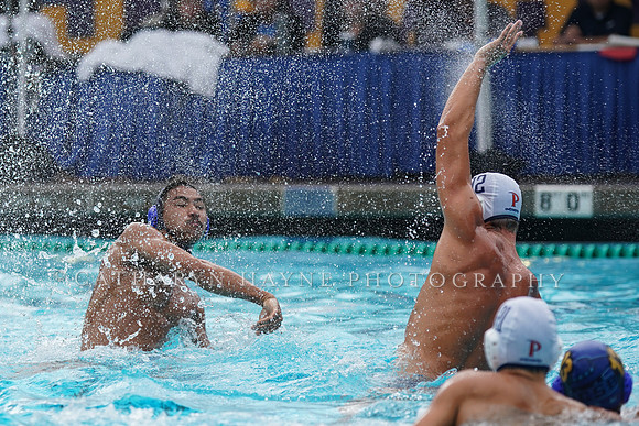 MWP:California Golden Bears vs UCSB Gauchos