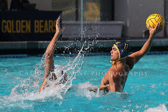 Collegiate Mens Water Polo: California Golden Bears vs UC Santa Barbara Gauchos