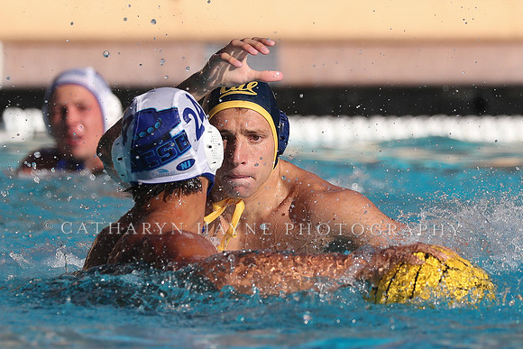 Collegiate Mens Water Polo: MPSF Invitational: California Golden Bears vs UC Santa Barbara Gauchos