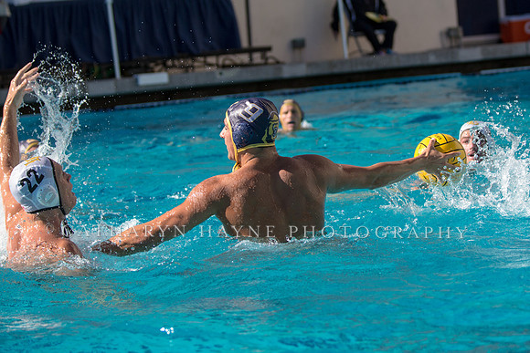 20141102CalvLBSUlr-67