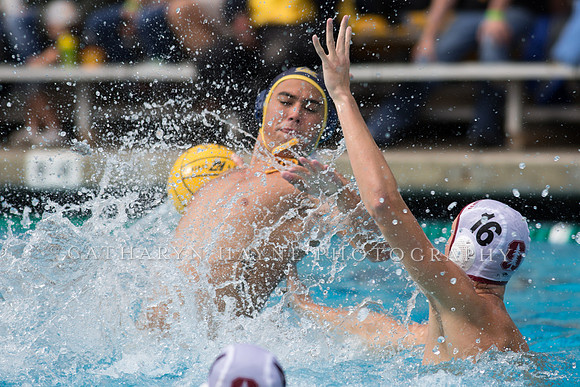 Cal vs Stanford at Mountain Pacific Sports Federation 2016