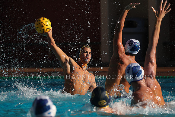 Collegiate Mens Water Polo: MPSF Invitational: California Golden Bears vs UC Santa Barbara Gauchos