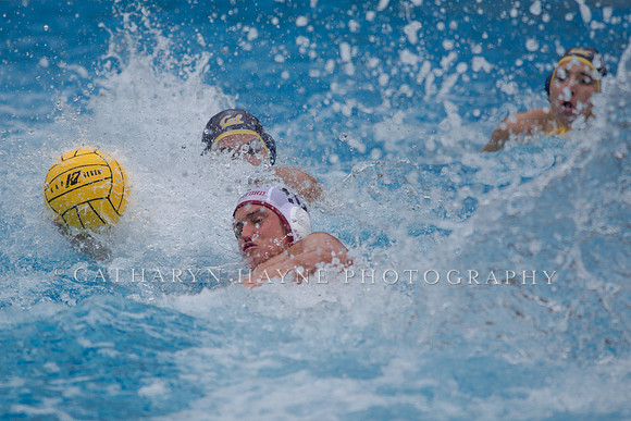Cal vs Stanford at Mountain Pacific Sports Federation 2016