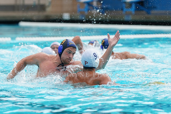 MWP:California Golden Bears vs UCSB Gauchos