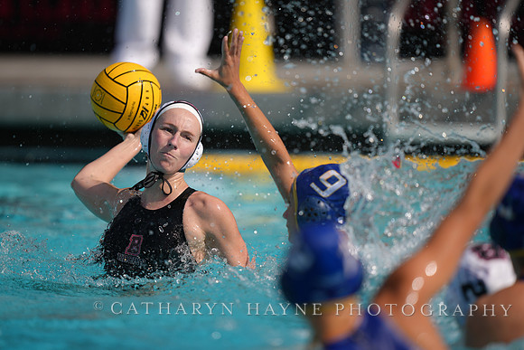 WWP: Brown University Bears vs SJSU Spartans