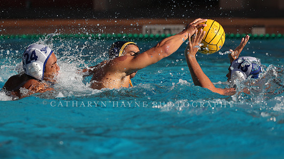 Collegiate Mens Water Polo: MPSF Invitational: California Golden Bears vs UC Santa Barbara Gauchos