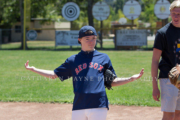 Project Awareness and Special Sports Baseball,