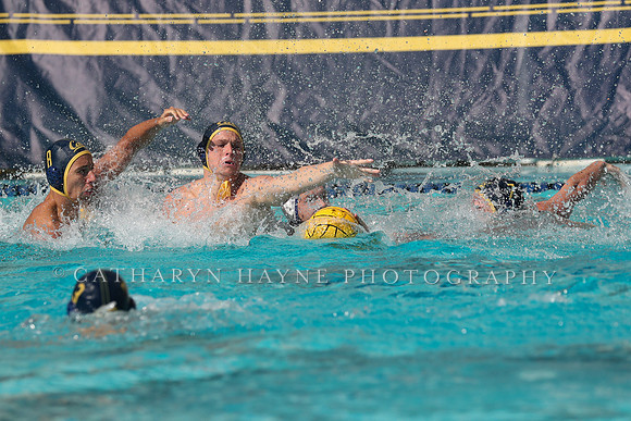 Collegiate Mens Water Polo: California Golden Bears vs UC Santa Barbara Gauchos
