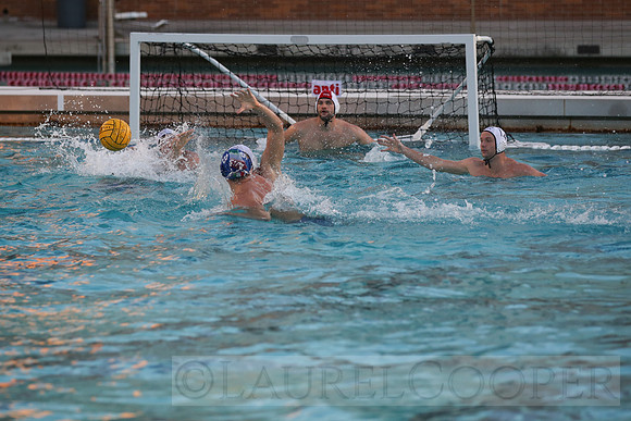 USA Water Polo Men's Exhibition Series: USA vs Italy
