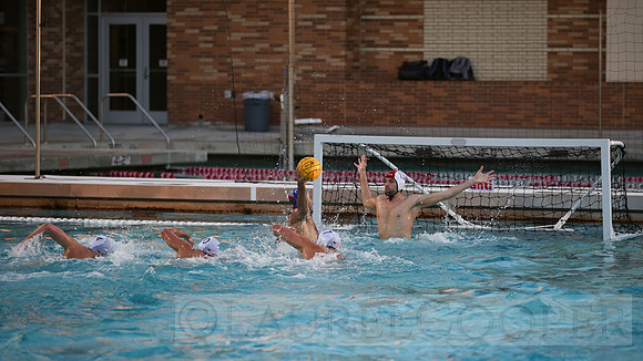 USA Water Polo Men's Exhibition Series: USA vs Italy