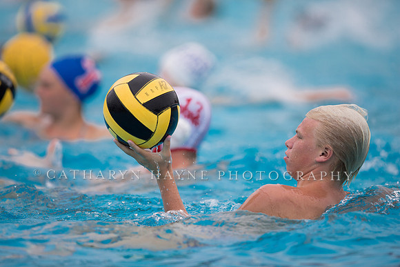 Santa Barbara Water Polo Camp