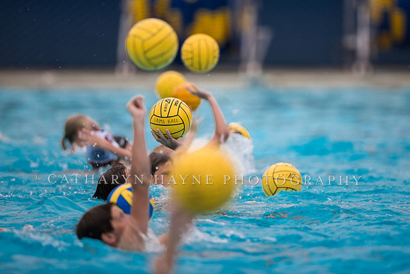 Santa Barbara Water Polo Camp