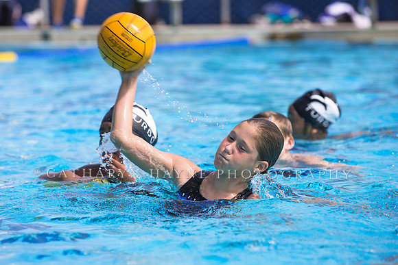 Santa Barbara Water Polo Camp