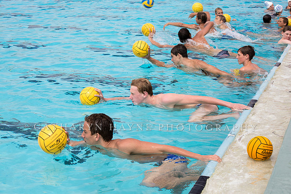 Santa Barbara Water Polo Camp