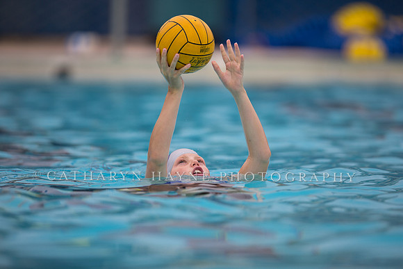 Santa Barbara Water Polo Camp