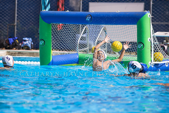 Santa Barbara Water Polo Camp