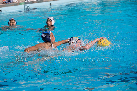 Santa Barbara Water Polo Camp
