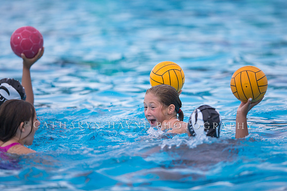 Santa Barbara Water Polo Camp